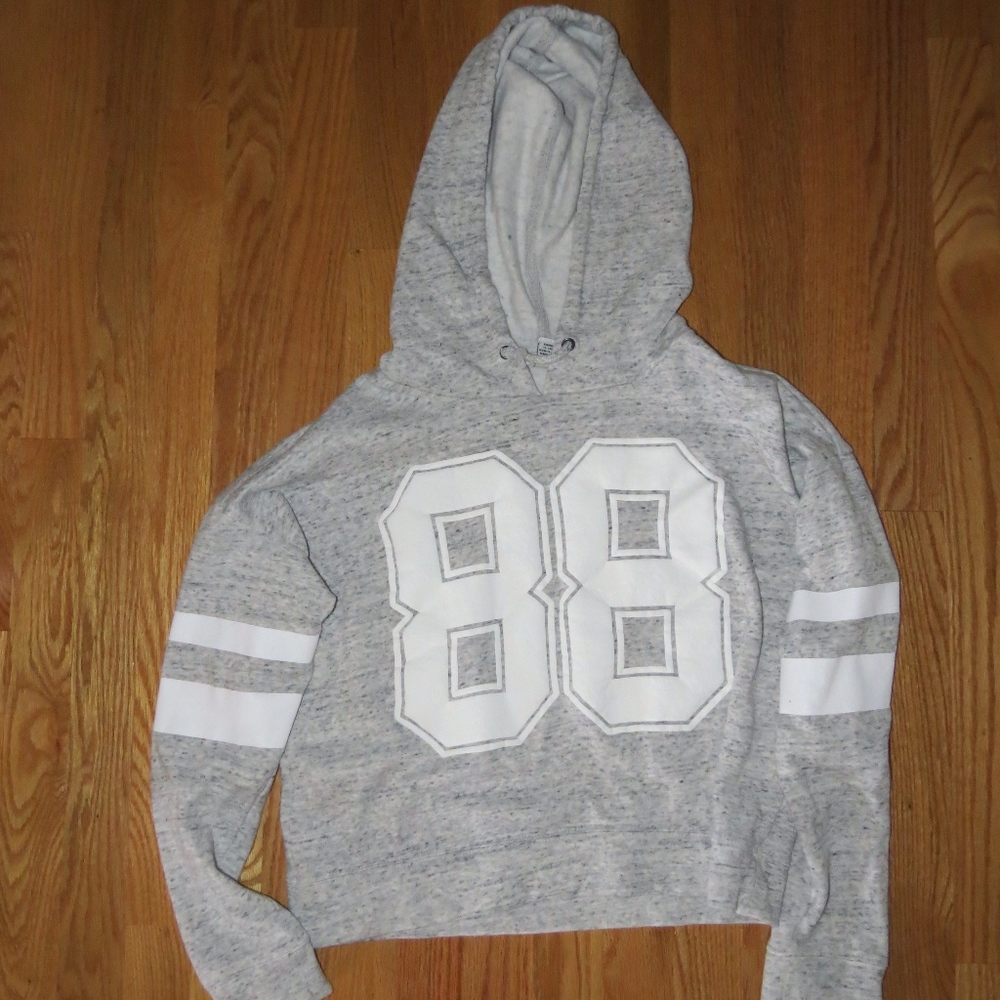 gray sweatshirt. (kinda cropped)